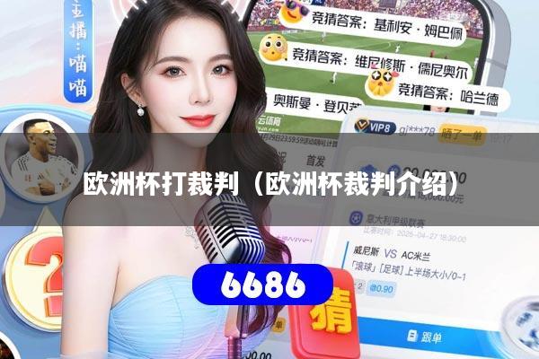 欧洲杯打裁判（欧洲杯裁判介绍）